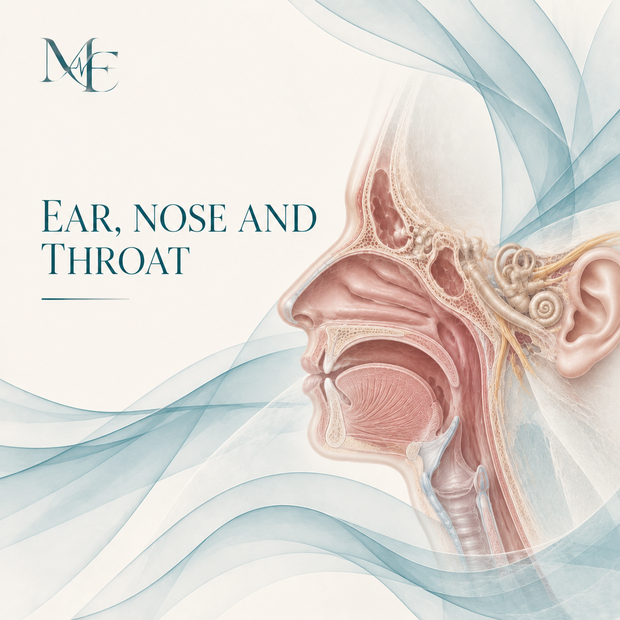 Ear, Nose and Throat